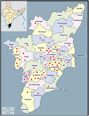 Association of Agriculture Occupational Exposure With Diabetes and Cardiovascular Risk Factors in South Indian Villages: REDSI Study